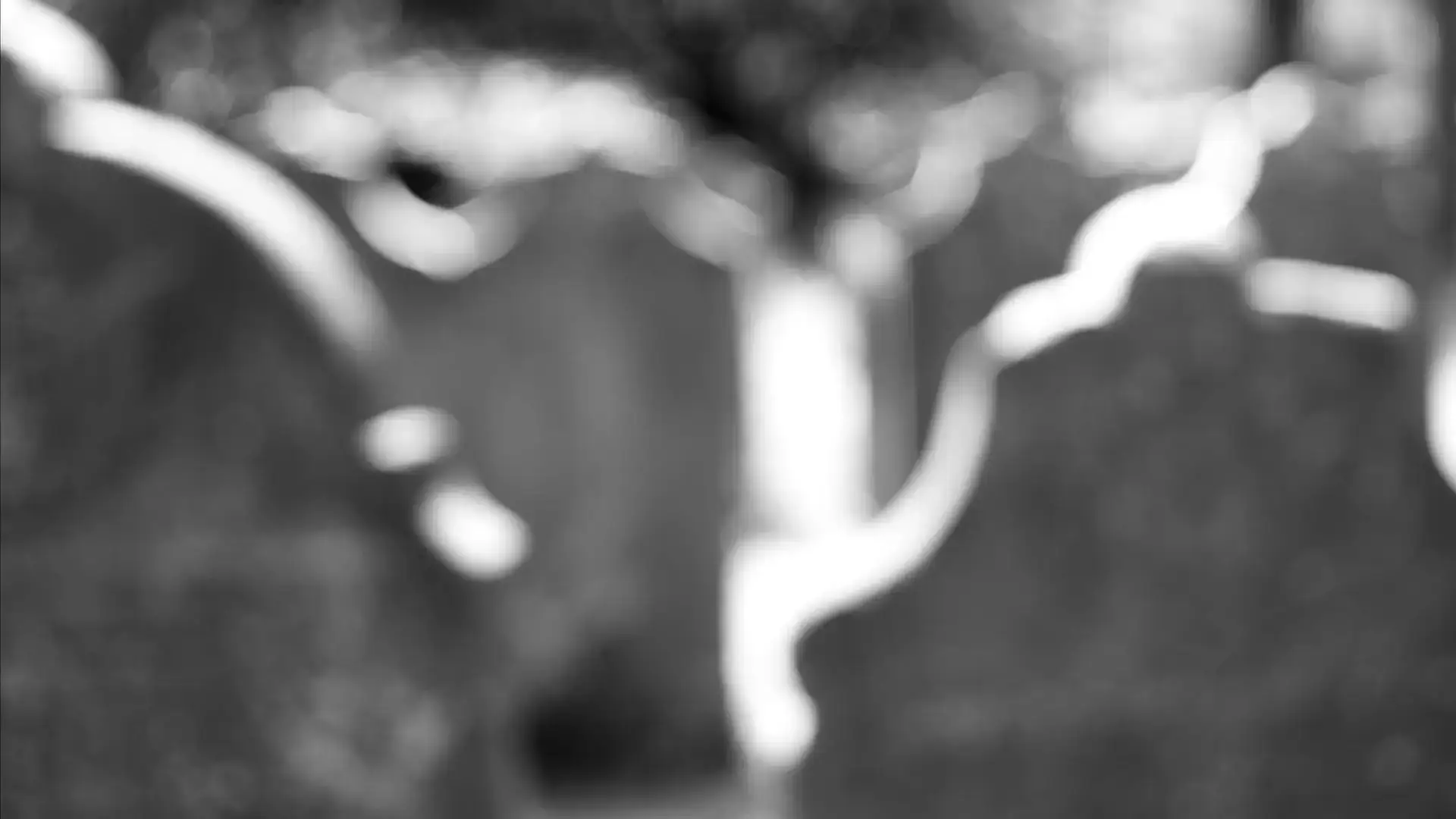 cemetery stones black and white